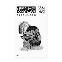 Wild Turkey Postage