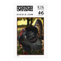 Wild Turkey Stamp