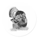 Wild Turkey stickers