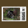 Wild Turkey Strutting Stamps