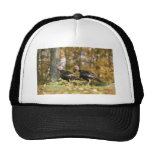 Wild turkey trucker hat