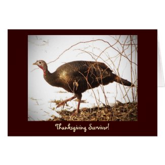Wild Turkey Vegetarian Card