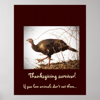 Wild Turkey Vegetarian Poster