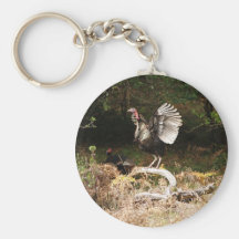 Wild Turkeys Key Chains