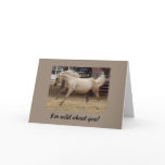 Wild Valentine's Card