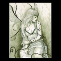 Wild Vines Postcards postcards