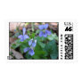 Wild Violets Postage