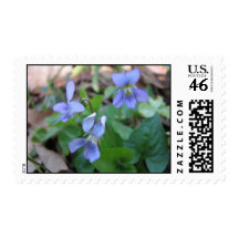 Wild Violets Postage