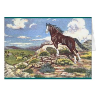 wild west 4 card