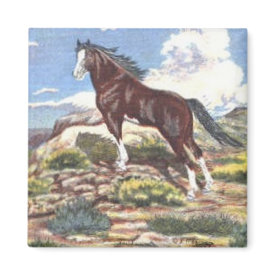 wild west 4 magnet