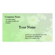 wild white daisy flowers business card