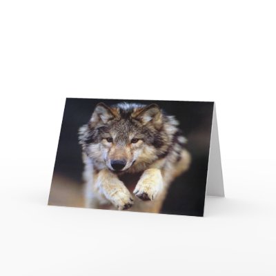 Wild Wolf Greeting Card by Minou1
