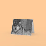 Wild Wolf Note Card