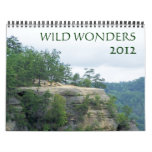 Wild Wonders 2012 Wall Calendars