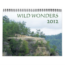 Wild Wonders 2012 Wall Calendars