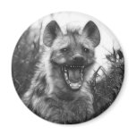 wild world magnets
