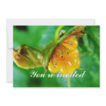 wild yellow berry invitation