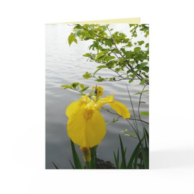 Wild Yellow Greeting Cards by MoiraAshleigh
