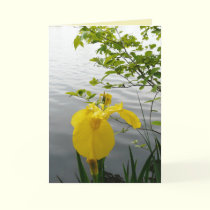 Wild Yellow cards by MoiraAshleigh Wild Yellow cards