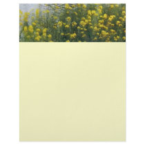 Wild Yellow Flowers/ letterhead by riverme Wild Yellow Flowers/ letterhead