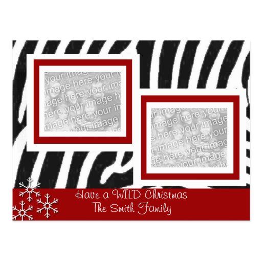 Wild ZEBRA Christmas Postcard