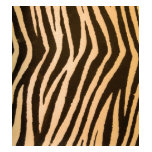 Wild Zebra Print Peach Tshirt Wild Zebra Print Peach Tshirt