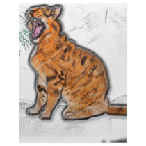 wildcat letterhead