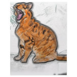 wildcat letterhead