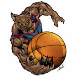 Wildcats Basketball art Blue Shirt, Red Stripe Photo Sculptures