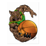Wildcats Bobcats Basketball Green, Yellow Stripe Post Card