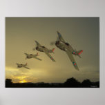 WildCat's posters