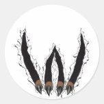 Wildcats Sports Team Claw Ripping Through - Al Rio Round Stickers