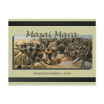 Wildebeest / gnu migration, safari postcards