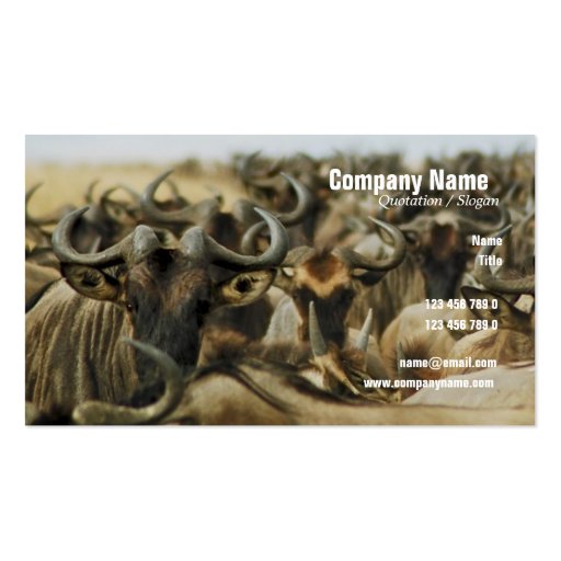 Wildebeest gnus Kenya safari profile cards custom Business Card