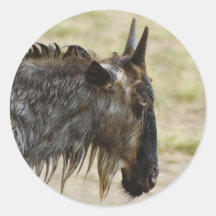 Wildebeest migration Kenya wildlife stickers
