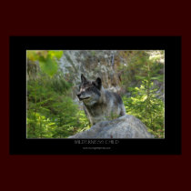 WILDERNESS CHILD Photo Print\Poster by RavenSpiritPrints WILDERNESS CHILD Photo Print\Poster