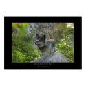 WILDERNESS CHILD Poster posters by WILDERNESS_SHOP WILDERNESS CHILD Poster posters