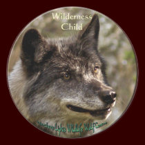 WILDERNESS CHILD Stickers by RavenSpiritPrints WILDERNESS CHILD Stickers