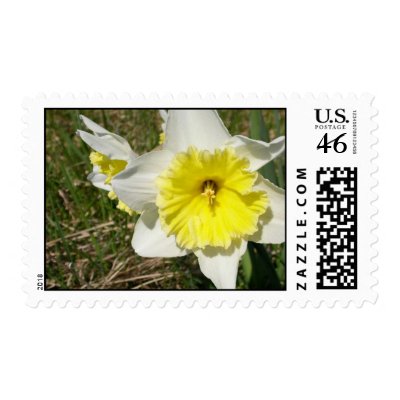 Wilderness Postage Stamps by tillasmax