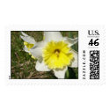 Wilderness postage