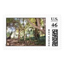 Wilderness postage
