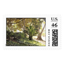 Wilderness postage
