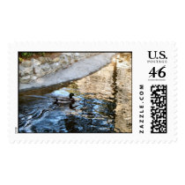 Wilderness postage