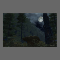 Wilderness
