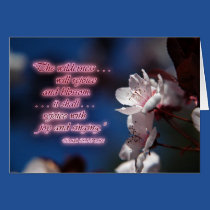 Wilderness Time Encouragement cards