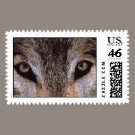 wilderness watching postage