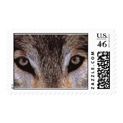 wilderness watching postage stamps by Minou1