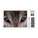 wilderness watching postage