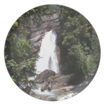 Wilderness Waterfall Dinner Plates