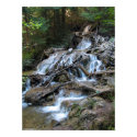 Wilderness Waterfall posters